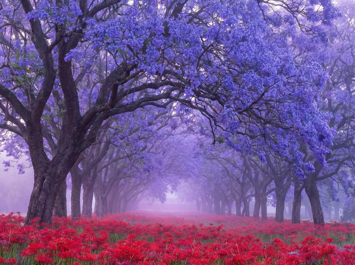 少女萝莉建刚与远方植物视频